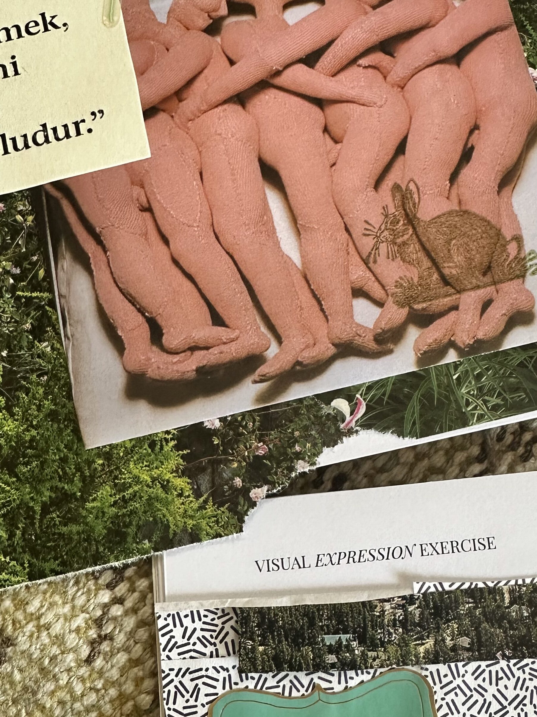Excerpt from a journal page