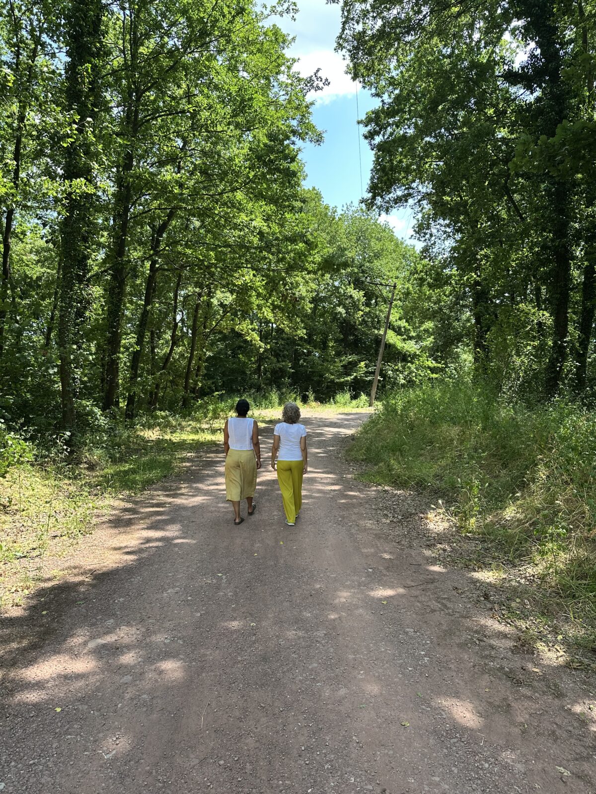 Walk in the woods